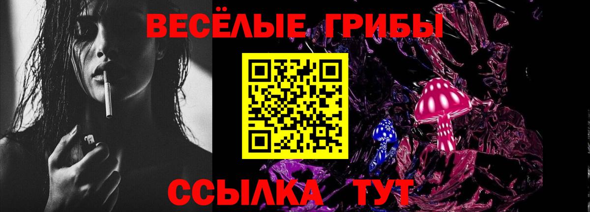 Псилоцибиновые грибы мицелий Богородицк